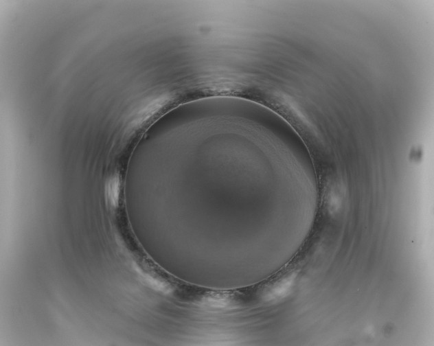 X0000094210076200711021125