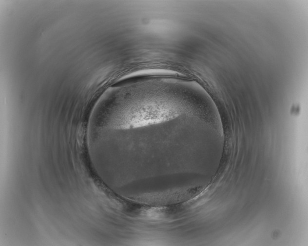 X0000094210078200711021126