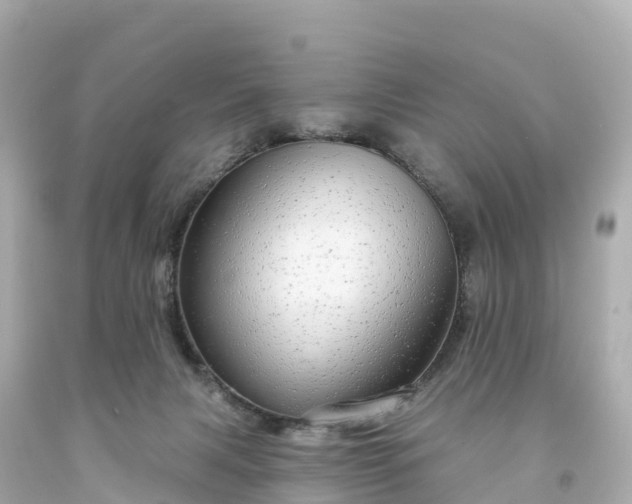 X0000094210079200711021126