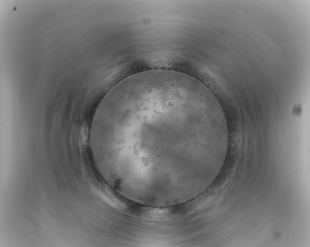 X0000094210081200711021126
