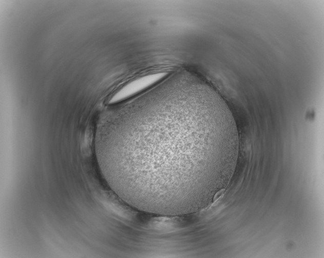 X0000094210082200711021126
