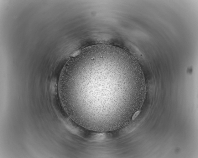 X0000094210083200711021126