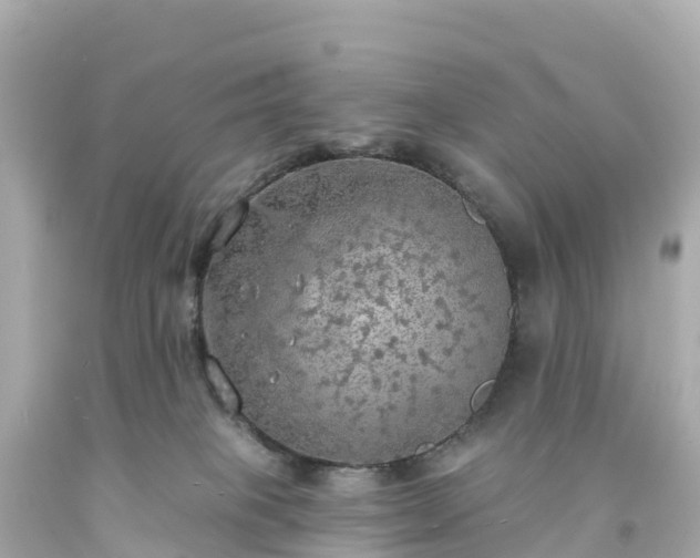 X0000094210085200711021126