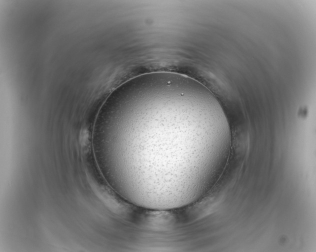 X0000094210087200711021126