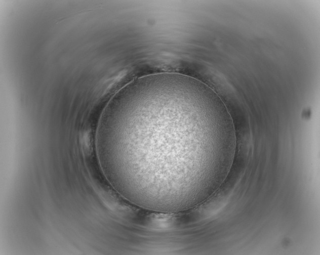 X0000094210088200711021126