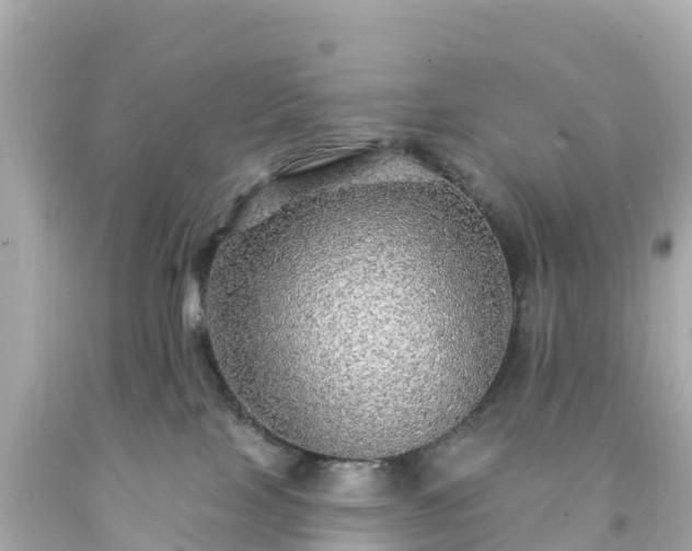 X0000094210089200711021126