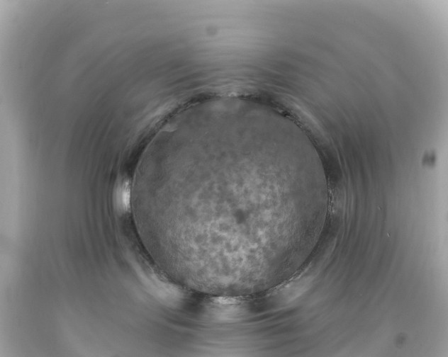 X0000094210095200711021126
