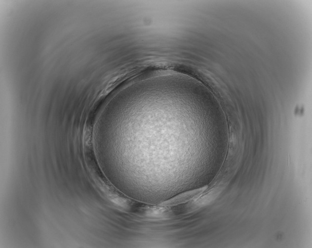 X0000094210096200711021126