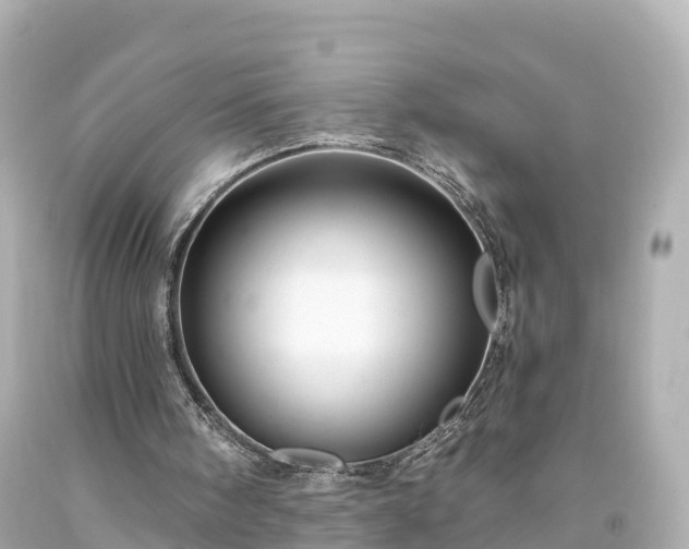 X0000094210098200711021125