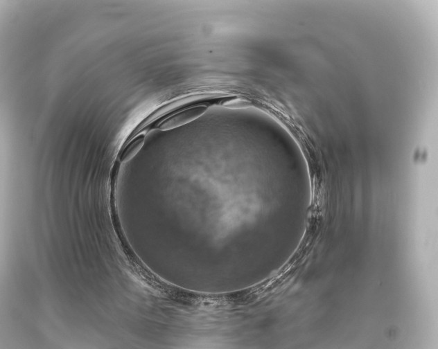 X0000094210099200711021125