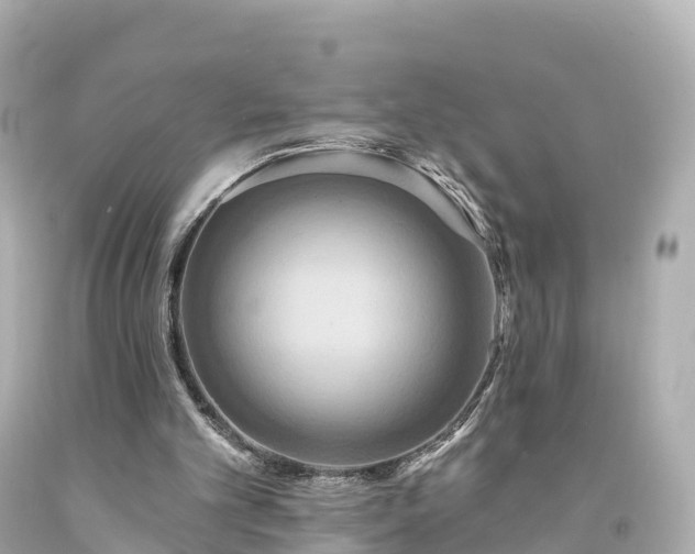 X0000094210101200711021125