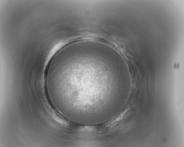 X0000094210102200711021125