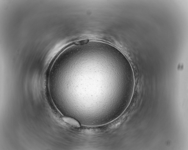 X0000094210103200711021125