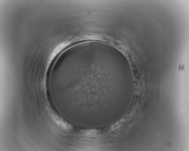 X0000094210104200711021125