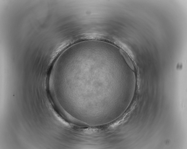 X0000094210105200711021125