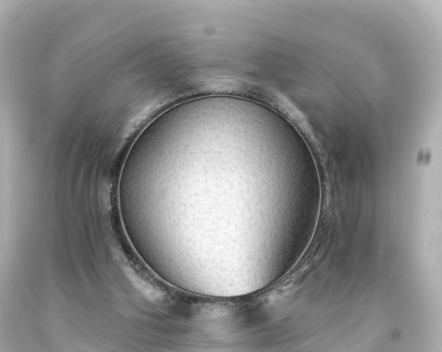 X0000094210106200711021125