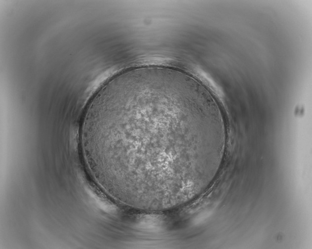 X0000094210107200711021125