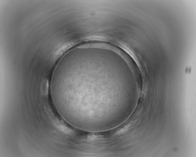 X0000094210109200711021125