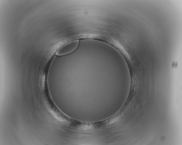X0000094210110200711021125