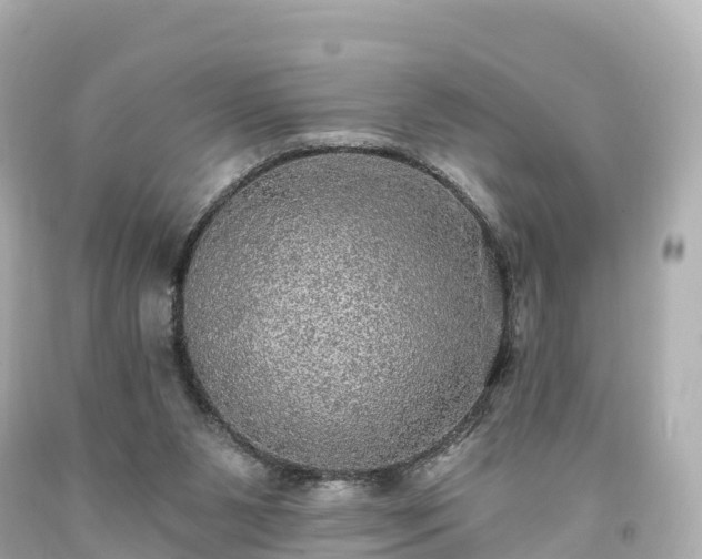X0000094210111200711021125