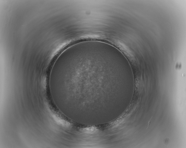 X0000094210112200711021125