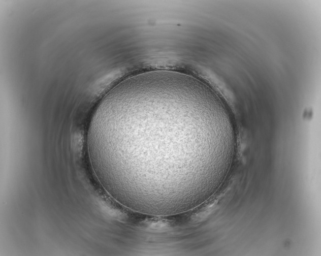 X0000094210113200711021125