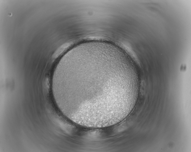 X0000094210116200711021125