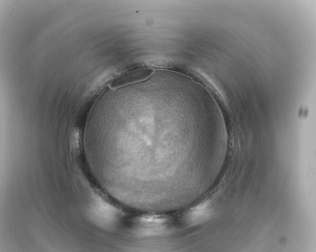 X0000094210117200711021125