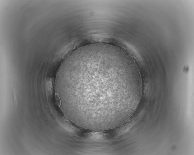 X0000094210121200711021125