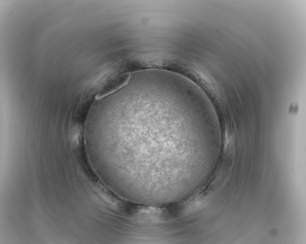 X0000094210125200711021125