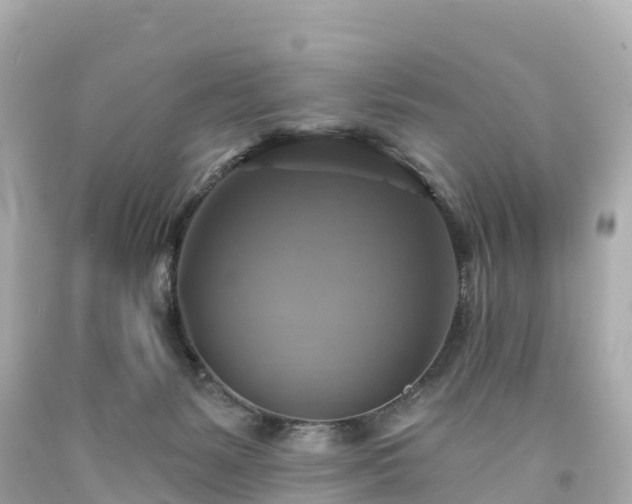X0000094210127200711021125