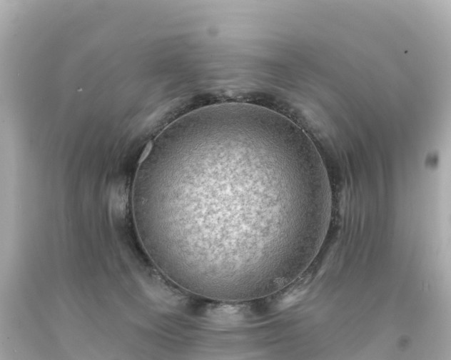 X0000094210129200711021125