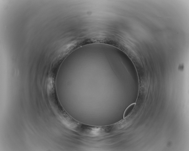 X0000094210130200711021125