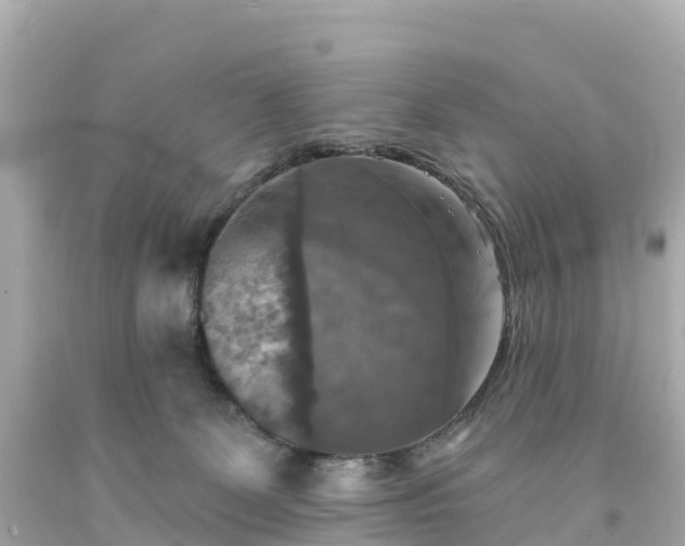 X0000094210131200711021125