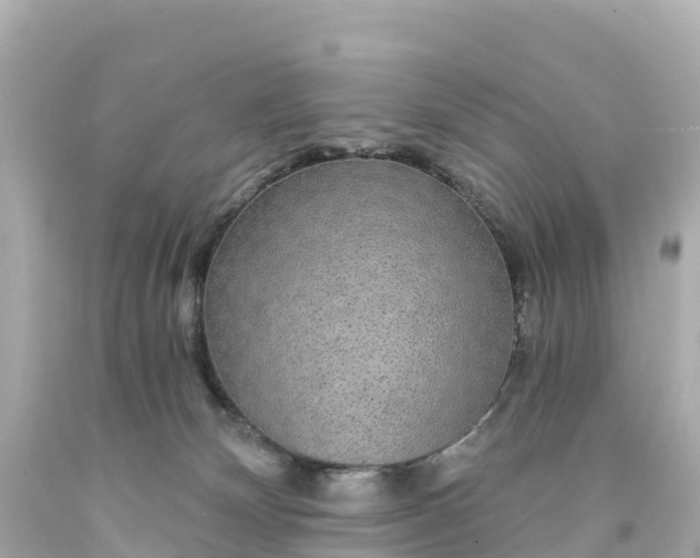 X0000094210132200711021125