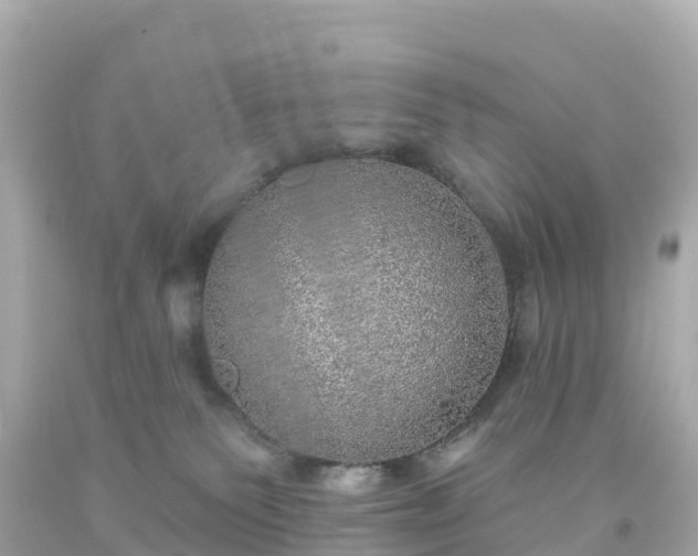 X0000094210135200711021124