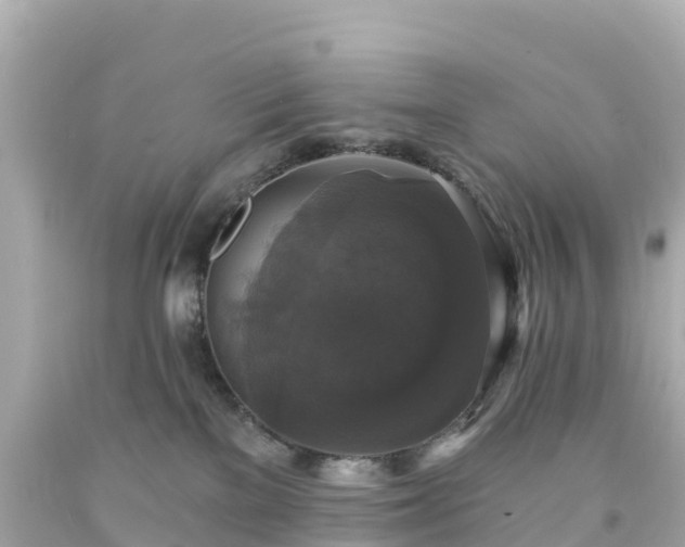 X0000094210137200711021124