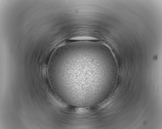 X0000094210141200711021124