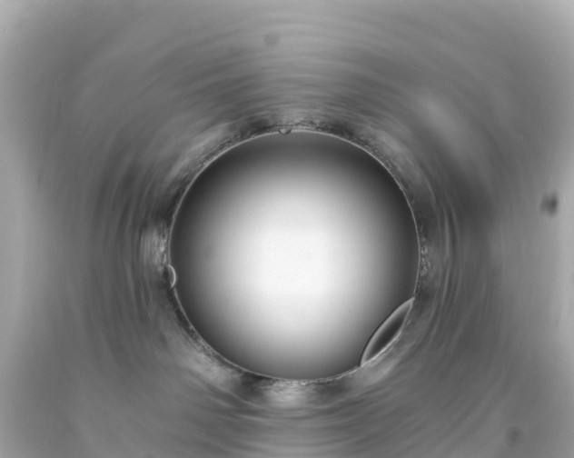 X0000094210142200711021124