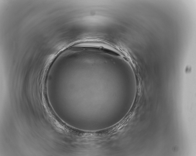 X0000094210145200711021123