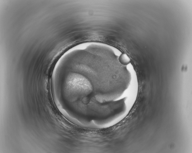 X0000094210146200711021123