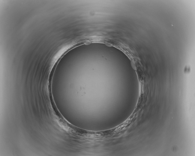 X0000094210147200711021123