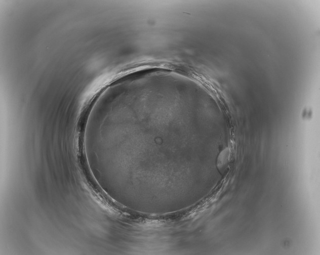 X0000094210149200711021123