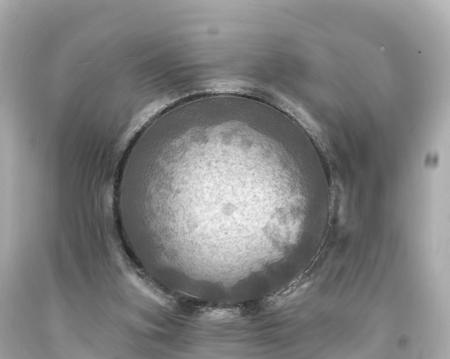 X0000094210155200711021124