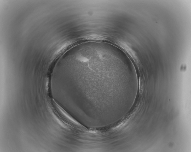 X0000094210157200711021124