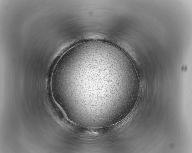X0000094210159200711021124