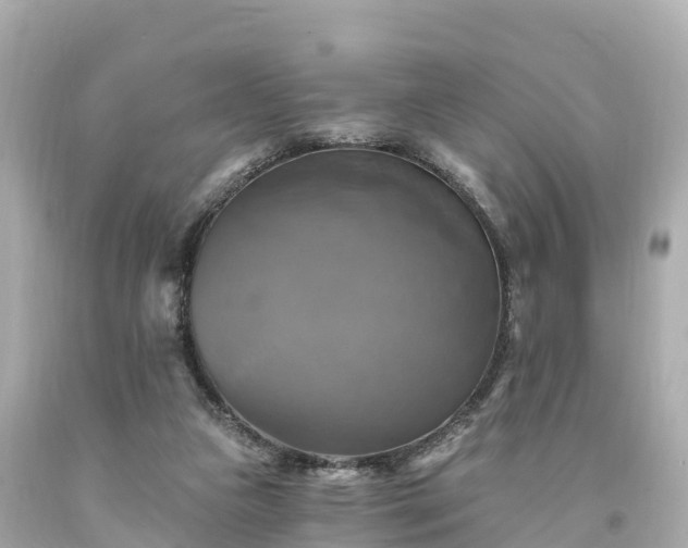 X0000094210161200711021124