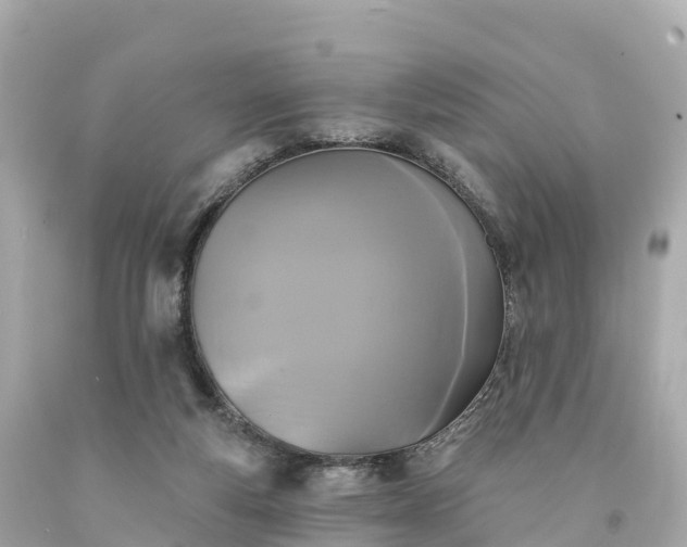 X0000094210163200711021124