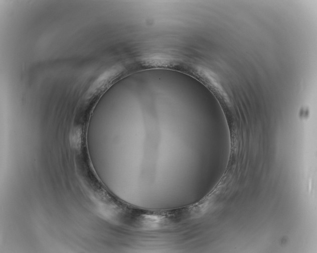 X0000094210167200711021124
