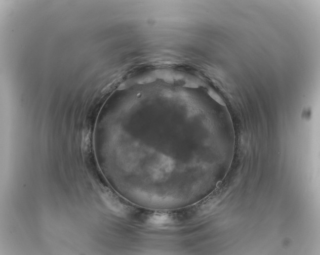 X0000094210177200711021124
